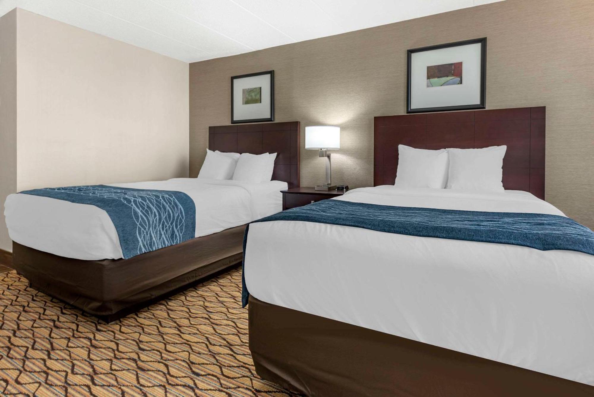 Comfort Inn & Suites Glen Mills - West Chester Exteriör bild